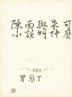 陈南与朱可人的小说叫什么
