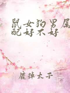 鼠女狗男属相婚配好不好