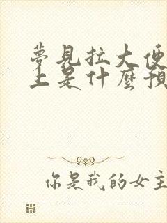 梦见拉大便在身上是什么预兆女性