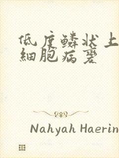 低度鳞状上皮内细胞病变