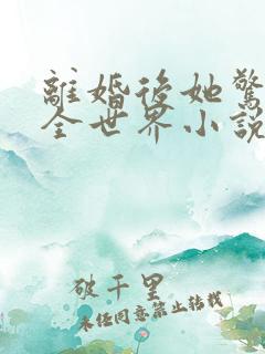 离婚后她惊艳了全世界小说