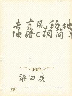 去有风的地方吉他谱c调简单版