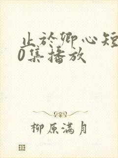 止于卿心短剧70集播放