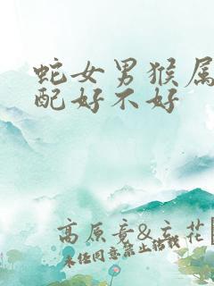 蛇女男猴属相婚配好不好