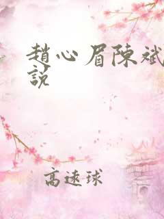 赵心眉陈斌的小说