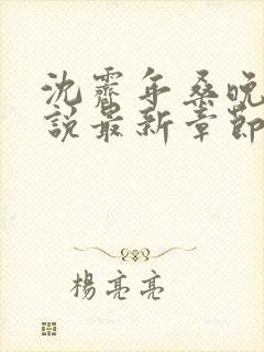 沈霁年桑晚夏小说最新章节更新时间表