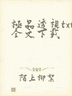 极品透视txt全文下载