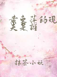 黄东萍的现任丈夫是谁