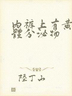 内裤上有黄色液体分泌物