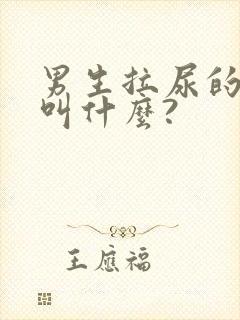 男生拉尿的地方叫什么?