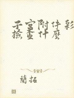 子宫附件彩超都检查什么