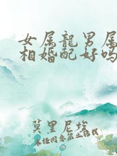 女属龙男属兔属相婚配好吗