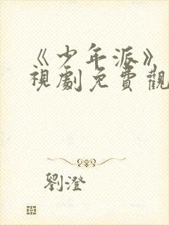 《少年派》1电视剧免费观看全集