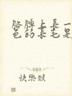 胳膊上长一根白色的长毛是什么