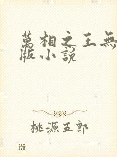 万相之王无删减版小说