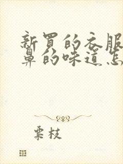 新买的衣服有刺鼻的味道怎么去除