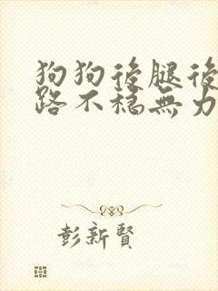 狗狗后腿后腿走路不稳无力该怎么办