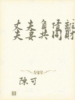 丈夫负债离婚后夫妻共同财产怎么分割