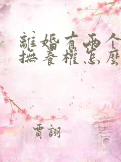 离婚有两个小孩抚养权怎么判定的