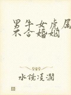 男牛女虎属相合不合婚姻