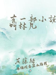 有一部小说主角叫林凡