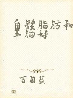 自体脂肪和假体丰胸好