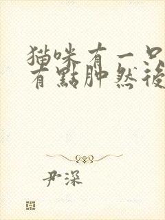 猫咪有一只眼睛有点肿然后流眼泪怎么回事