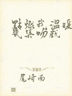 点燃我温暖你第几集吻戏