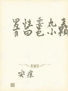 男性睾丸表皮上有白色小颗粒