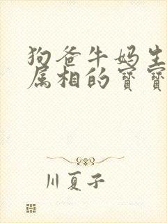 狗爸牛妈生什么属相的宝宝好