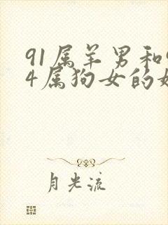 91属羊男和94属狗女的婚姻怎么样