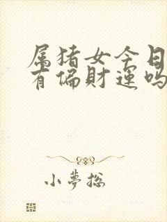 属猪女今日打牌有偏财运吗