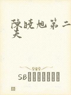 陈晓旭第二任丈夫