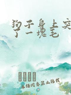 狗子身上突然掉了一块毛