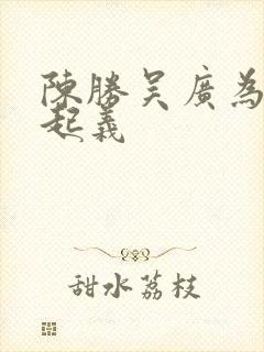 陈胜吴广为什么起义