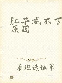 肚子减不下去的原因