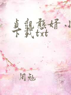 贞观憨婿 小说下载txt