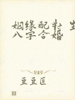 姻缘配对 生辰八字合婚