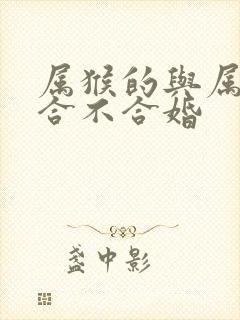 属猴的与属蛇的合不合婚