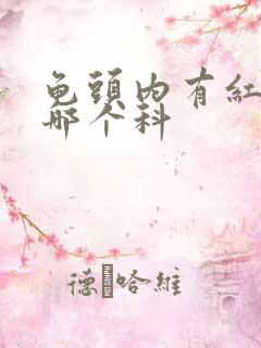 龟头内有红斑看哪个科