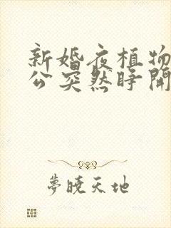 新婚夜植物人老公突然睁开眼