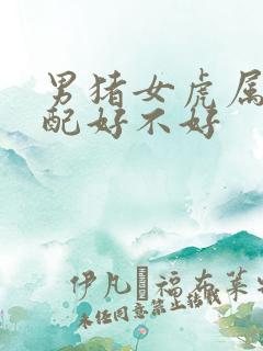 男猪女虎属相婚配好不好