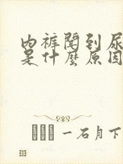 内裤闻到尿骚味是什么原因