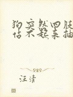 狗突然四肢无力站不起来抽搐怎么办