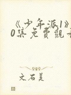 《少年派1》40集免费观看