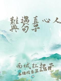 难遇真心人最经典句子