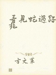 看见蛇过路的预兆
