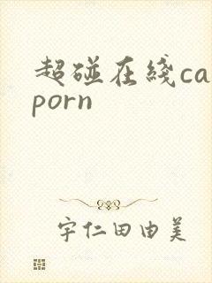 超碰在线caoporn