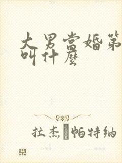 大男当婚第二部叫什么