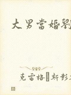 大男当婚刘晨曦